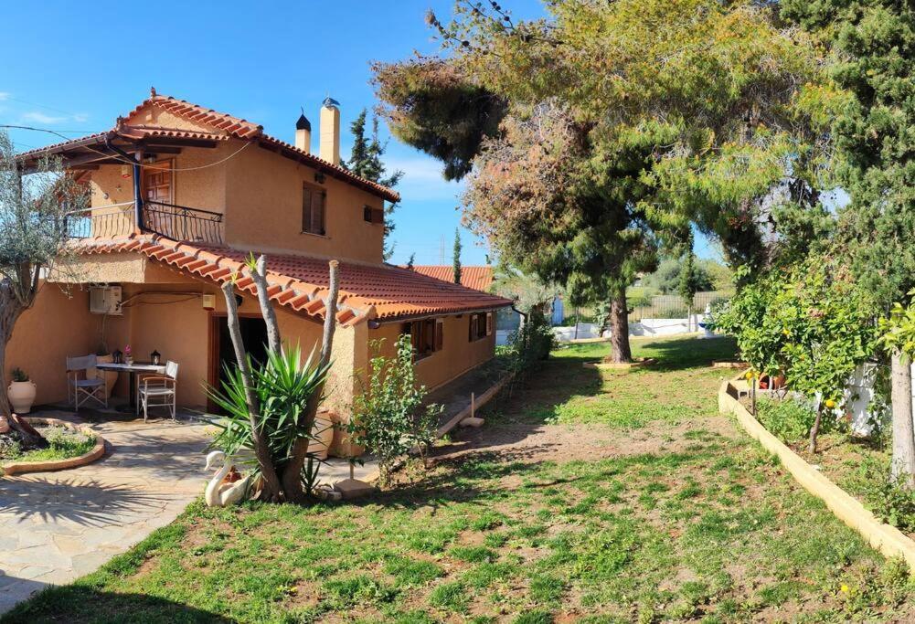 Evas Guesthouse Agioi Theodoroi Eksteriør bilde